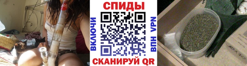 OMG онион  купить  цена  Ковылкино  Бутират 99% 