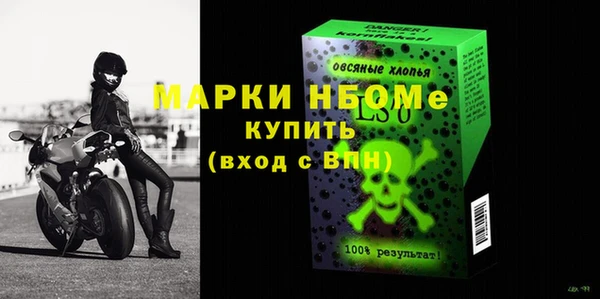 шишки Дубна
