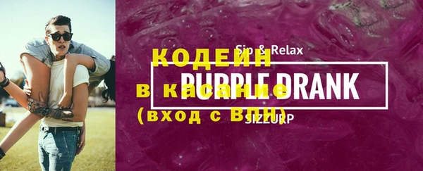 шишки Дубна