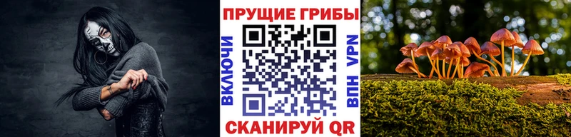 Галлюциногенные грибы Cubensis  наркошоп  Ковылкино 